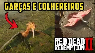 RED DEAD REDEMPTION 2 – GARÇAS, COLHEREIROS E OVOS DE JACARÉ (ITENS EXÓTICOS) | RDR2 100% PT-BR