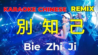 KARAOKE REMIX 別知己 l Bie Zhi Ji l Viethoa Karaoke
