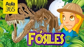 ¿Qué son los Fósiles? | Videos Educativos para Niños