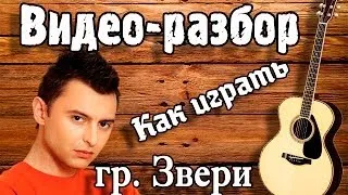 ЗВЕРИ - ДЛЯ ТЕБЯ разбор ( урок на гитаре для начинающих Без БАРРЭ ) видеоурок, как играть Звери