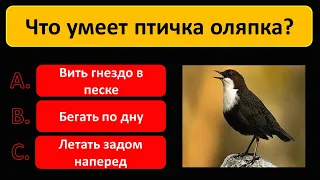 Вы умный или ничего не знаете? Блиц-Тест на эрудицию #3.      #тестнаэрудицию #викторина #тест