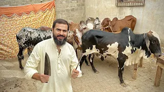 Bakra eid first day vlog 🐂