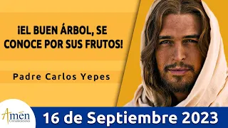 Evangelio De Hoy Sábado 16 Septiembre 2023 l Padre Carlos Yepes l Biblia l Lucas 6,43-49 l Católica