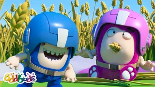 Newt's Not A-Maize-d! | Oddbods Cartoons | Funny Cartoons For Kids