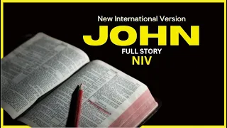 NIV 43 John New International Version High Quality [Audio Bible with Text]