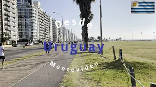 Desde Uruguay Video 2 - Reflexiones sobre emigrar