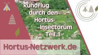 Hortus-Netzwerk - Rundflug durch den Hortus-Insectorum Teil 1