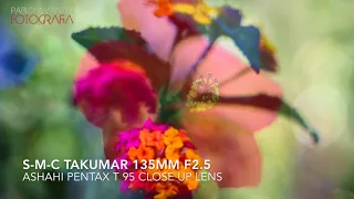 S-M-C Takumar 135mm F2.5 Sony A6000 Close Up Lens T95 Bokeh Real World Sample Images