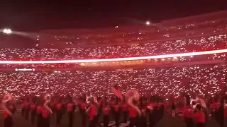 Wow! The new LED lights and Georgia Bulldogs run out are Fantastic!