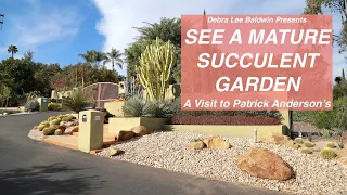 See a Mature Succulent Garden