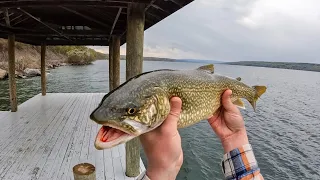 Finger Lakes Shore Fishing