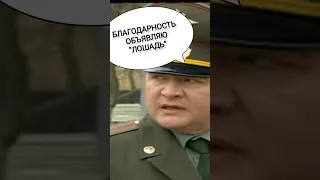 Солдаты - Колобков:Какой идиот приказал...😡? Командир части!)(7 серия)