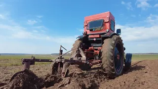 Первая халтура на тракторе Т-40АМ. Вспашка огорода на сороковке!!!