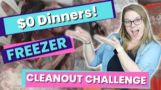 $0 Emergency Budget Challenge || Freezer Clean out Challenge || Cook With me