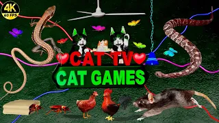 CAT GAMES | ULTIMATE CAT TV COMPILATION | ENTERTAINMENT VIDEO FOR CATS TO WATCH 4K, 8-HOURS | 😺