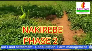 Nakirebe Estate By Three ways Property Consultants Limited. Nawe Osobola  Okubeera Landlord