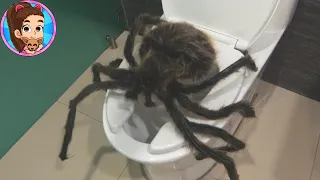 NOS INVADE UNA ARAÑA GIGANTE