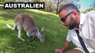 unterwegs auf dem kleinsten Kontinent der Welt! | Australien 🇦🇺