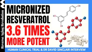 Micronized Resveratrol 3.6 TIMES MORE POTENT Than Regular Resveratrol | Dr David Sinclair Int Clips