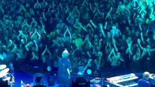 Phish Boston Cream Baker's Dozen 2017