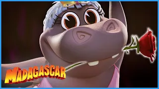 The Queen of the Ballet | DreamWorks Madagascar