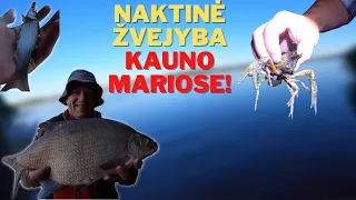 NAKTINĖ ŽVEJYBA KAUNO MARIOSE! KARŠIAI.. VĖŽIAI.. ŠAMAI IR SALATIS!