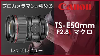 [Canon TS-E 50mm F2.8L Macro] Take an image photo closer. Half Macro Tilt Shift Lens Review