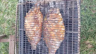 Charcoal Grilled Tilapia - The Authentic Ghanaian Way