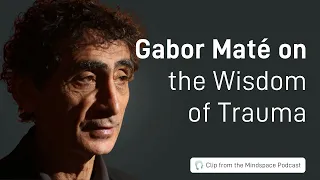 Dr. Gabor Maté on the Wisdom of Trauma | A Mindspace Podcast Clip