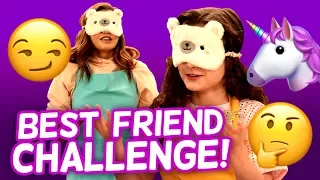 The Ultimate Best Friend Challenge
