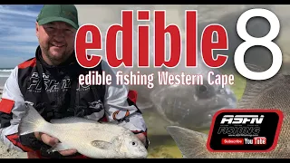 The Edible 8 | Fishing for edibles | Western Cape |​⁠ ASFN Rock & Surf