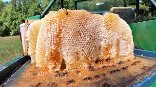 80 Pounds of Liquid GOLD - Honey Harvest 2024