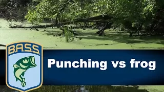 Choosing between a frog and punch bait