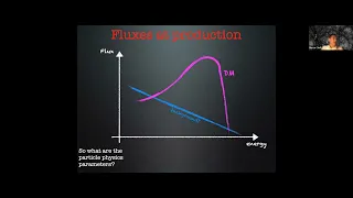 Marco Cirelli | Dark Matter Indirect Searches as of 2022