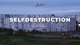 DuNock - Selfdestruction 🌆 [atmospheric ambient downtempo]