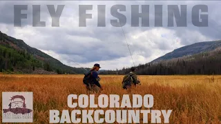 Hunting for trophy backcountry trout | Gorgeous valley full of massive trout | Fly fishing Colorado