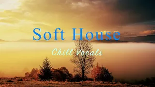 Soft House 2024 🌅🌲 Chill Vocals Mix【House / Relaxing Compilation / Instrumental】