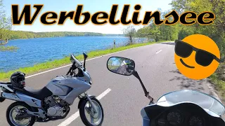 Honda Varadero 125 * Werbellinsee