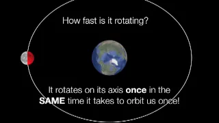 Synchronous Rotation of the Moon