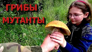 Нашли мутантов!  Семейный поход в лес! Новое название канала!