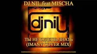 Dj Nil feat Mischa   Ты не будешь знать ( Imany cover mix )