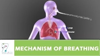 MECHANISM OF BREATHING PART 01