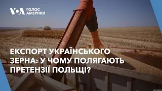 Експорт українського зерна: у чому полягають претензії Польщі?