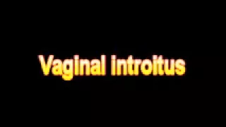 What Is The Definition Of Vaginal introitus