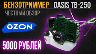 Бензотриммер с озон за 5000 р. Лучший бюджетный триммер Oasis TB-250?  Бензокоса для дома и дачи.