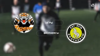Тигры 4-3 Brotherсы, обзорм матча