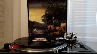 Fleetwood Mac - Everywhere (On Vinyl Record)