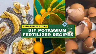 4 Best DIY Potassium Fertilizer Recipes | Best Fertiliser for Plants at Home