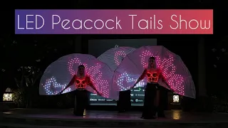 LED Peacock Small Tails Performance (3 dancers) ✨🦚✨ ILLIZIUM events Dubai