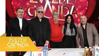 Zvezde Granda - Specijal 20 - 2018/2019 - (TV Prva 03.02.2019.)